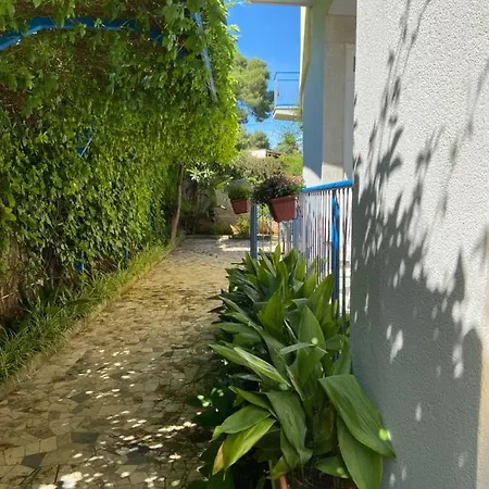 Apartment Savoia
