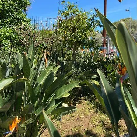 Apartment Savoia