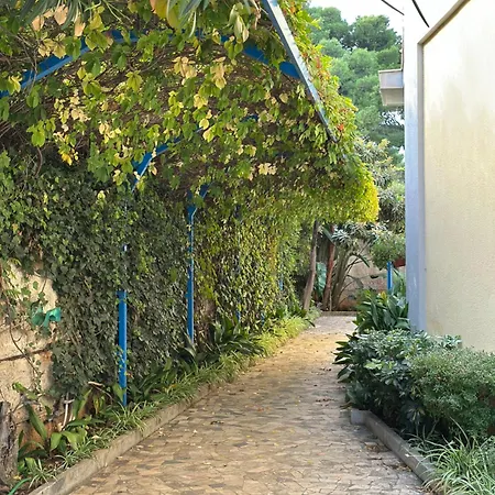 Savoia Apartment Mondello