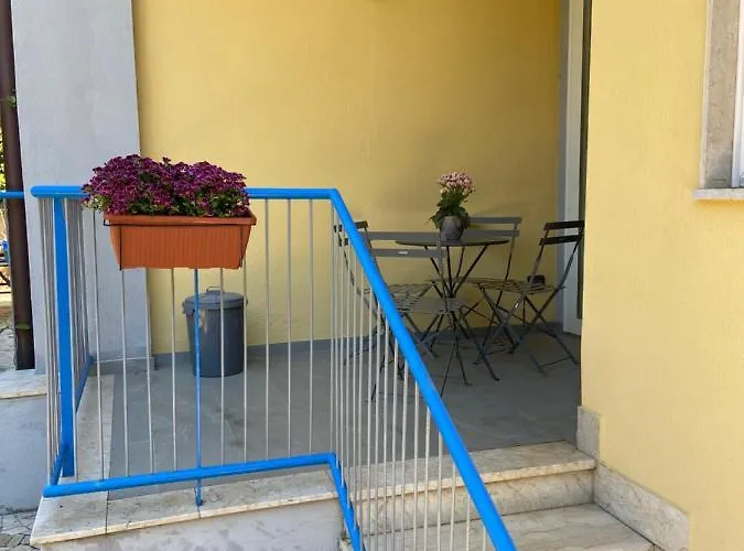 Savoia